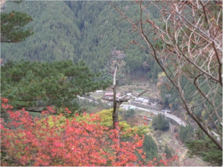 小竜頭